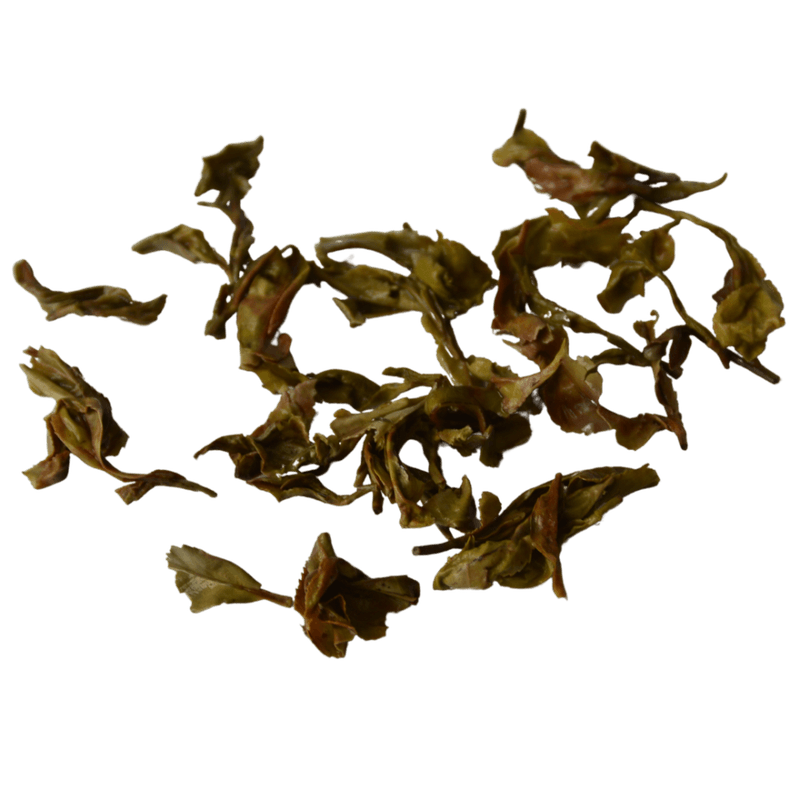 Jun Chiyabari 1st. flush